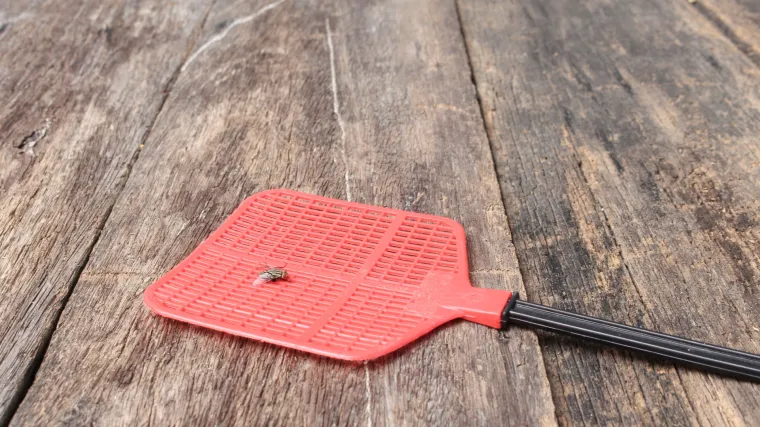 ANKETA Zabava za narod: Kako nazivate ovaj legendarni rekvizit za ubijanje muha?