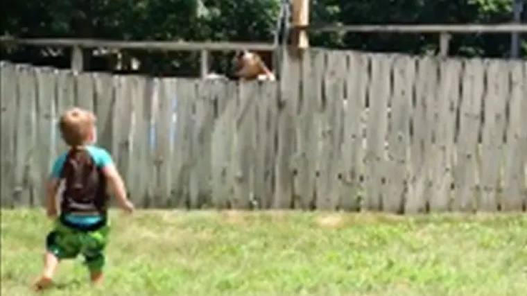 Igra psa i dječaka u dva terena: ne postoji osoba koju ovo ne bi raznježilo