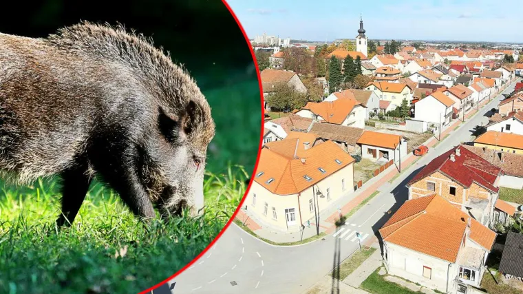 Teror za koji nema rješenja? 'Svaku noć smo vani, ali ne smijemo pucati...'