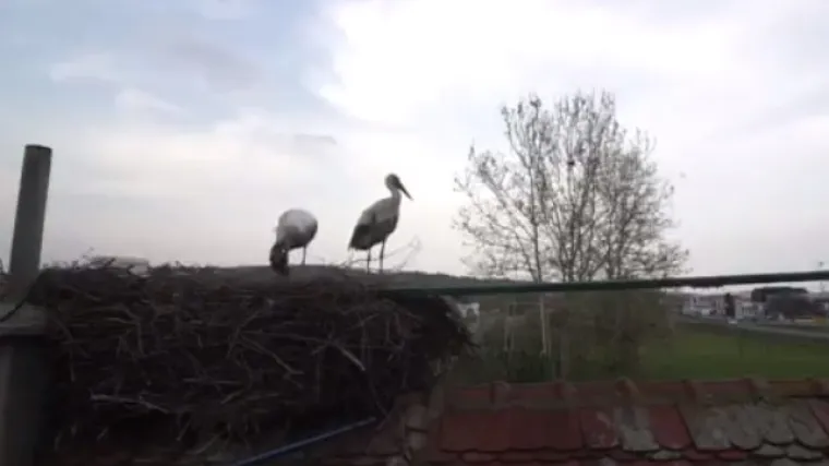 Godinama su živjele mirno uz mje&scaron;tane i njihova domaćinstva