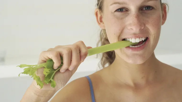 Celer rebraš kao vrlo vrijedna ljekovita biljka