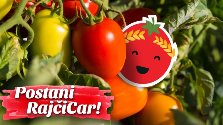 Prognoziraj kao RajčiCar i osvoji nagrade