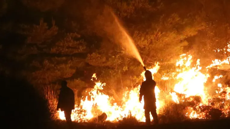 Izgorjelo je oko 50 hektara &scaron;ume i 300 stabala maslina
