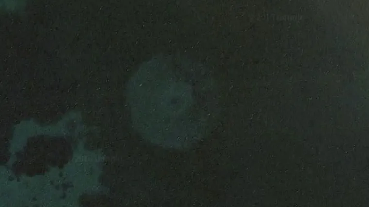 Misterozan oblik iz dubina pokrenuo veliku raspravu