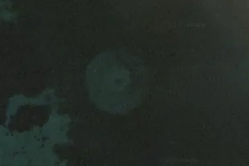 Misterozan oblik iz dubina pokrenuo veliku raspravu