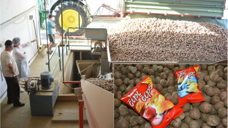 Čipi čips ide u ruke novog vlasnika za 12 mil. eura