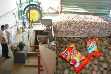 Čipi čips ide u ruke novog vlasnika za 12 mil. eura