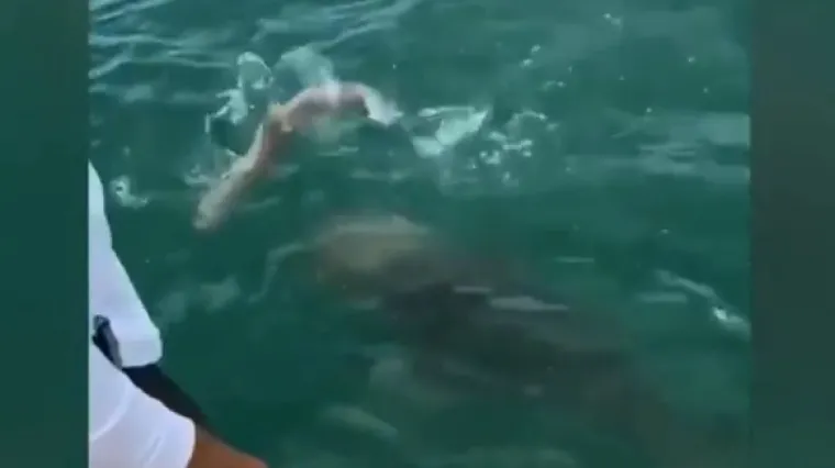 Ulovili morskog psa na udicu, ali onda je doplivalo ne&scaron;to jo&scaron; veće i pojelo im ulov