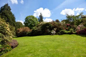 Znate li kako navodnjavati vrt?