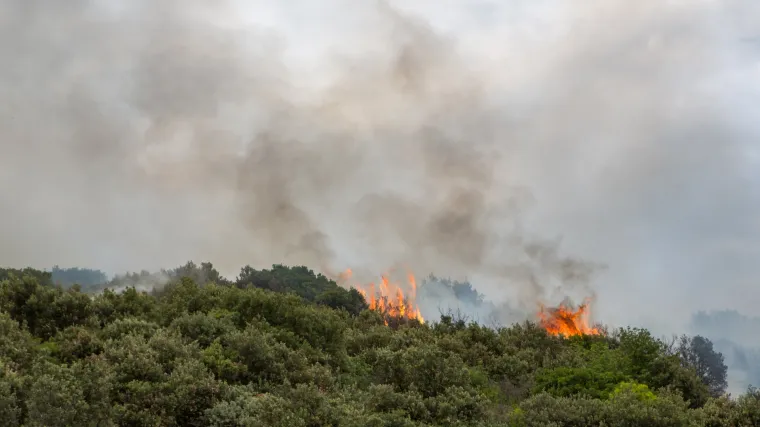Požar u šumi uz BiH granicu: Vatrogasci spriječili širenje prema hrvatskoj granici