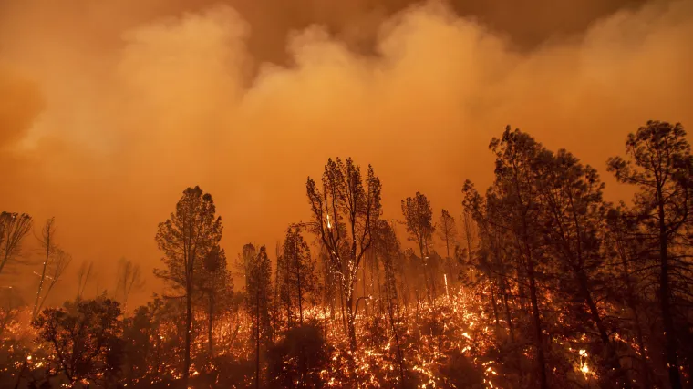 Vi&scaron;e od 400 vatrogasaca bori se sa &scaron;umskim požarom na jugu Portugala