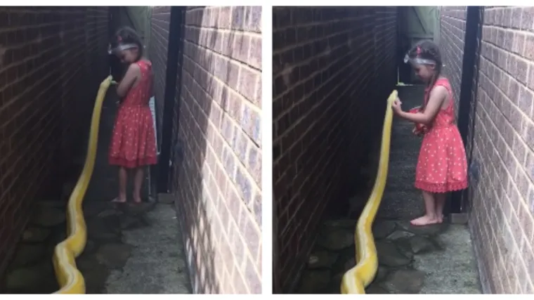 'Ugrizla ju je mačka, kornjača, ali piton nikada': otac izazvao burne reakcije objaviv&scaron;i snimku pitona u dru&scaron;tvu njegove kćeri