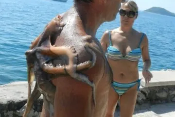 Godišnji iz snova? Brojali su minute do odmora, a onda im se ovo dogodilo