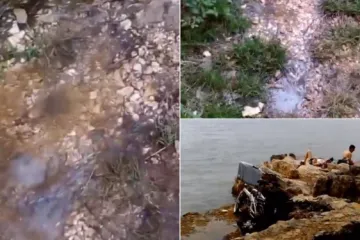 VIDEO Ako ste se ovih dana kupali na popularnom splitskom kupalištu, ne čekaju vas dobre vijesti