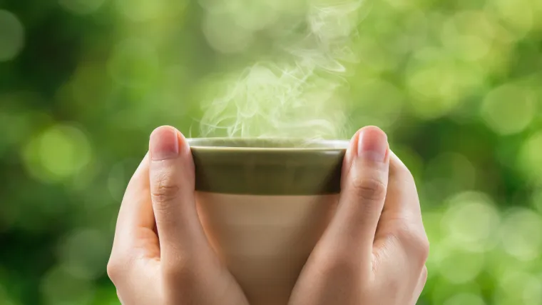 Medunika biljka kao prirodni aspirin