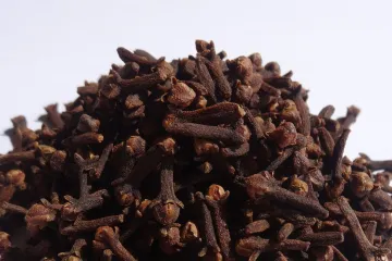 Klinčić biljka kao jedan od najljekovitijih začina svijeta