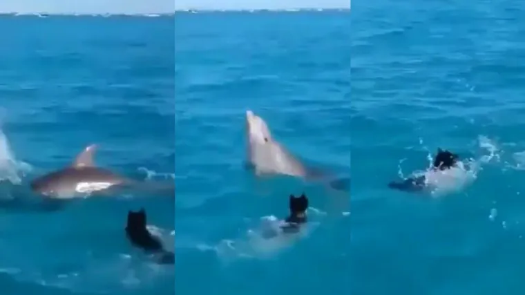 Veselo se igrali u moru i odu&scaron;evili internet