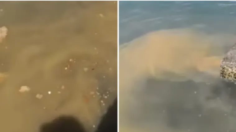 VIDEO Fekalije ispuštaju direktno u more, stanovnici Kaštela zgroženi!