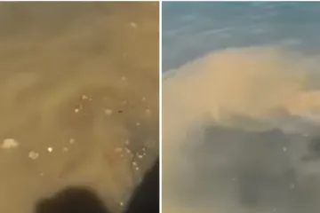 VIDEO Fekalije ispuštaju direktno u more, stanovnici Kaštela zgroženi!