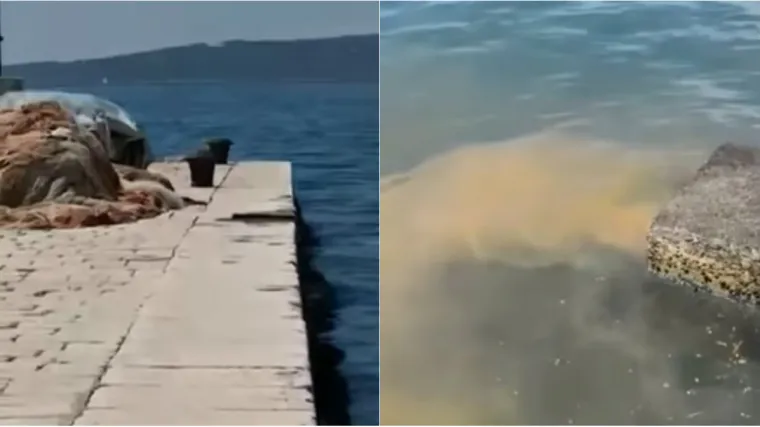 Procurila gnjusna snimka, ljudi su zabrinuti zbog zaraze