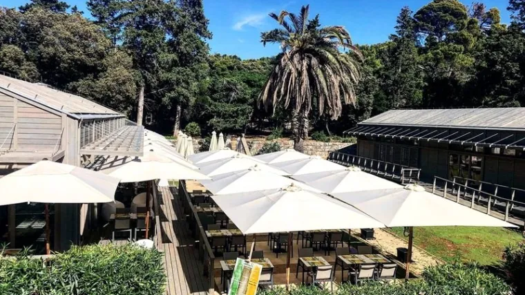 Vlasnik dubrovačkog kafića napao gosta iz SAD-a i zalio ga pićem: 'Samo sam mu opalio dva &scaron;amara'