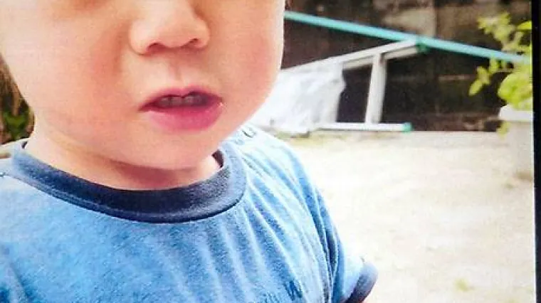 Krenuo sam kući iz &scaron;etnje pa nestao: Nakon tri dana na&scaron;li dječaka (2) u &scaron;umi