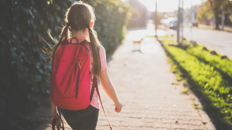 Procurila zastra&scaron;ujuća prepiska kojom se vrbuju djevojčice preko oglasa
