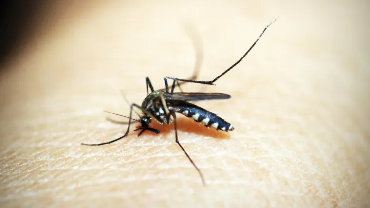 Jedna osoba dobila encefalitis, druga meningitis, jo&scaron; dvije osobe zaražene