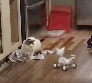 Igračka uzvraća udarac