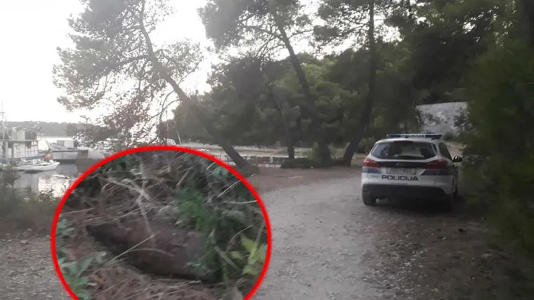 U uvali blizu Pule pronađene dvije bombe: Vjerojatno su odbačene od jugovojske