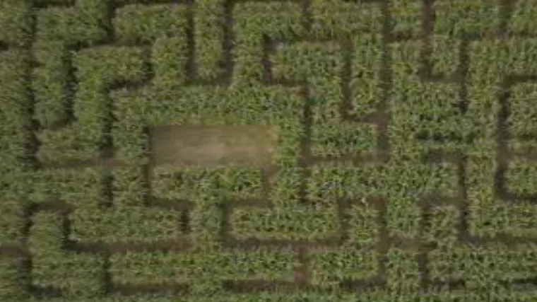 Labirint u osječkom kukuruzi&scaron;tu: Na&scaron; Tin Kovačić provjerio je o čemu se radi