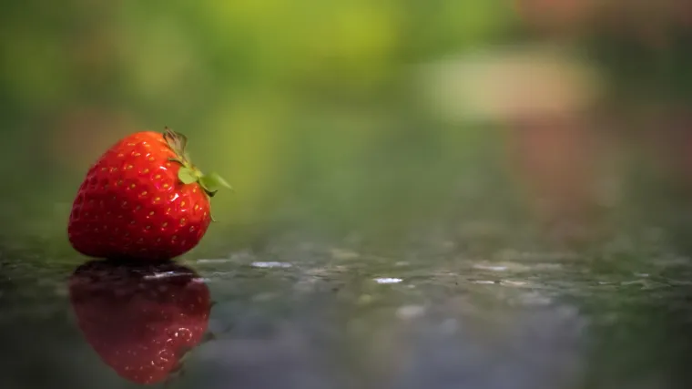 Ukrasne jagode - Jagode koje privlače svojim izgledom