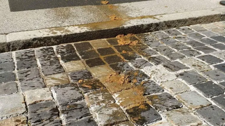 VIDEO Kantom izmeta na Vladu: Novinarka istresla hrpu fekalija pred ulaz u Banske dvore