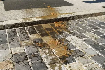 VIDEO Kantom izmeta na Vladu: Novinarka istresla hrpu fekalija pred ulaz u Banske dvore