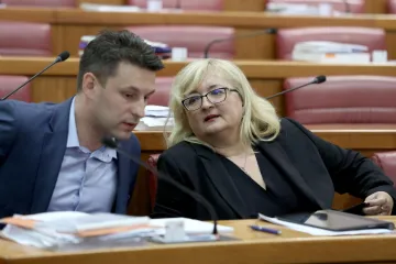 'Kujundžić je krivo shvatio i sasvim promašio temu'