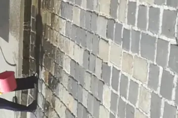 Kantom izmeta na Vladu: Novinarka istresla hrpu fekalija pred ulaz u Banske dvore