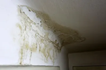 Znate li kako ukloniti miris vlage u sobi?