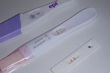 Početak trudnoće: evo što možete očekivati u prvim tjednima trudnoće