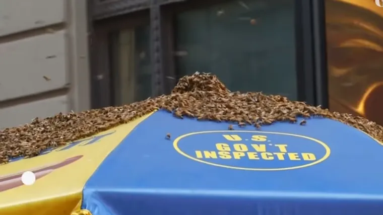 Pogledajte fotografiju malo pažljivije, bit će vam jasno za&scaron;to su svi bježali