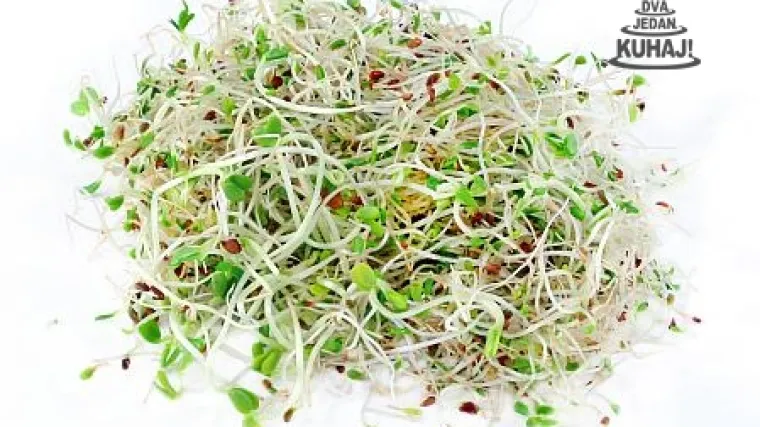 Uzgoj klica - izuzetno jednostavan uzgoj