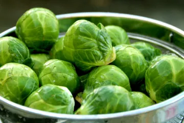 Prokulice sadnja - Što prokulice trebaju u vrijeme sadnje