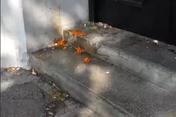 'Nema tog briselskog lutka koji može spasiti Kujundžića'