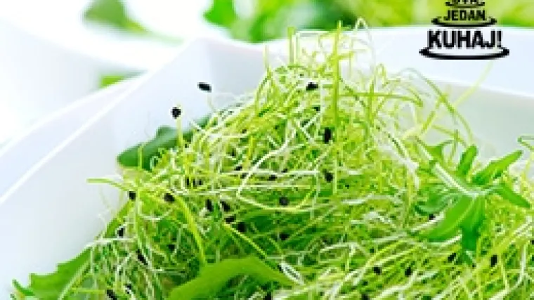 Mikro povrće: uzgoj i nabavka sjemena