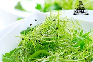 Mikro povrće: uzgoj i nabavka sjemena