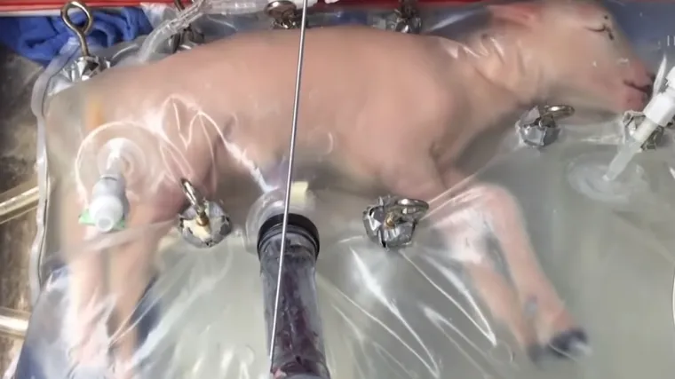 i 91', A ŠTO RADI SVIJET? Vrlo brzo mogli bismo svjedočiti stvarima koje su se činile apsolutno nemogućima