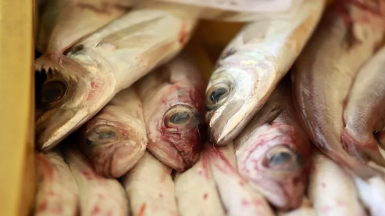 Ribarnica krajnje originalno poku&scaron;ala osvježiti ribe