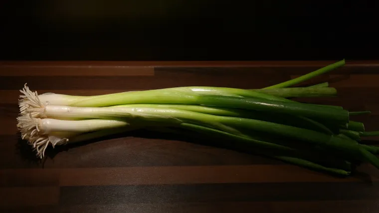 Kako i kada se sadi luk zimski