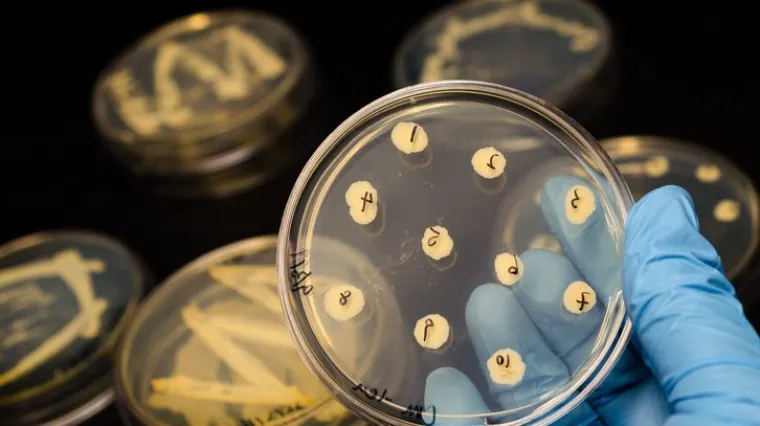 Šire se bolnicama, u liječenju ne pomaže ni jedan poznati antibiotik na svijetu