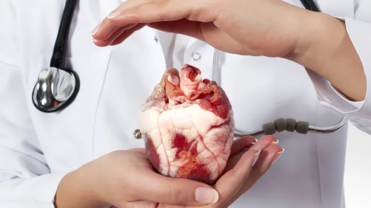 Prije 30 godina ispisana je povijest: Obavljena je prva transplantacija srca u Hrvatskoj