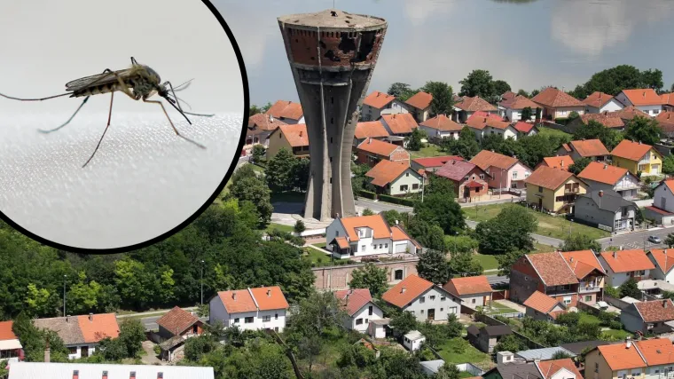 Došlo do encefalitisa: Djevojčica (6) iz Vukovara ima virus Zapadnog Nila